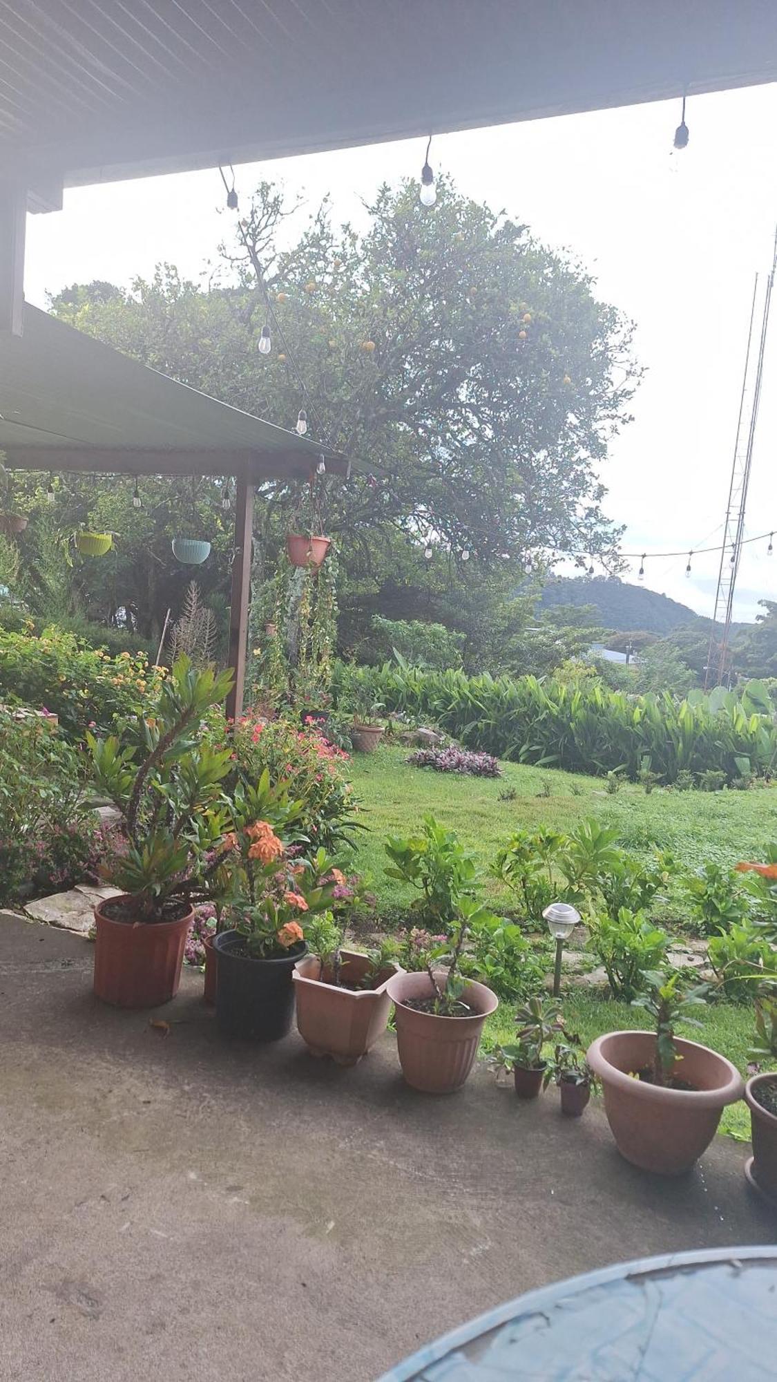 Hostal Vista Boquete Bajo Boquete Exteriér fotografie