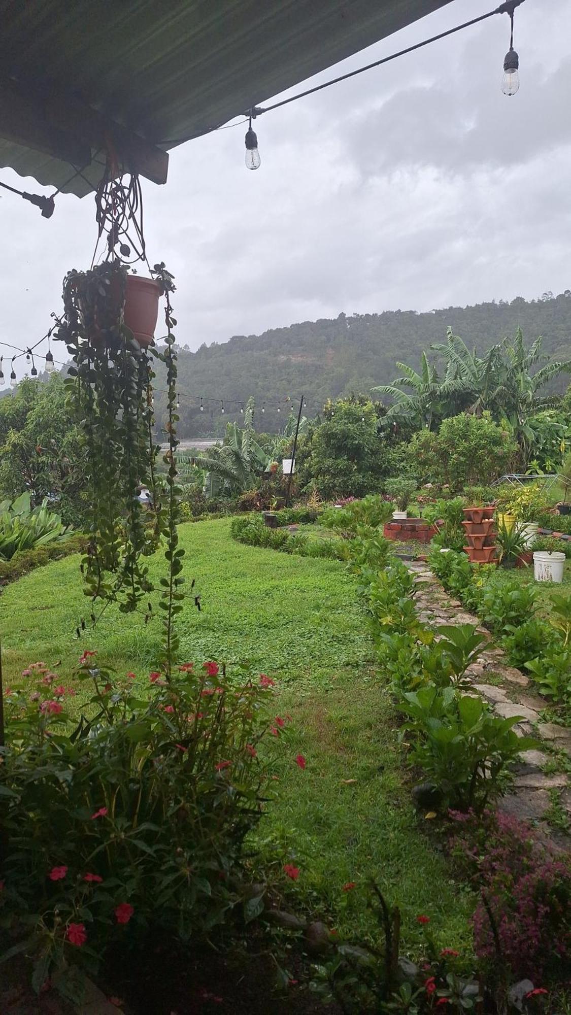 Hostal Vista Boquete Bajo Boquete Exteriér fotografie