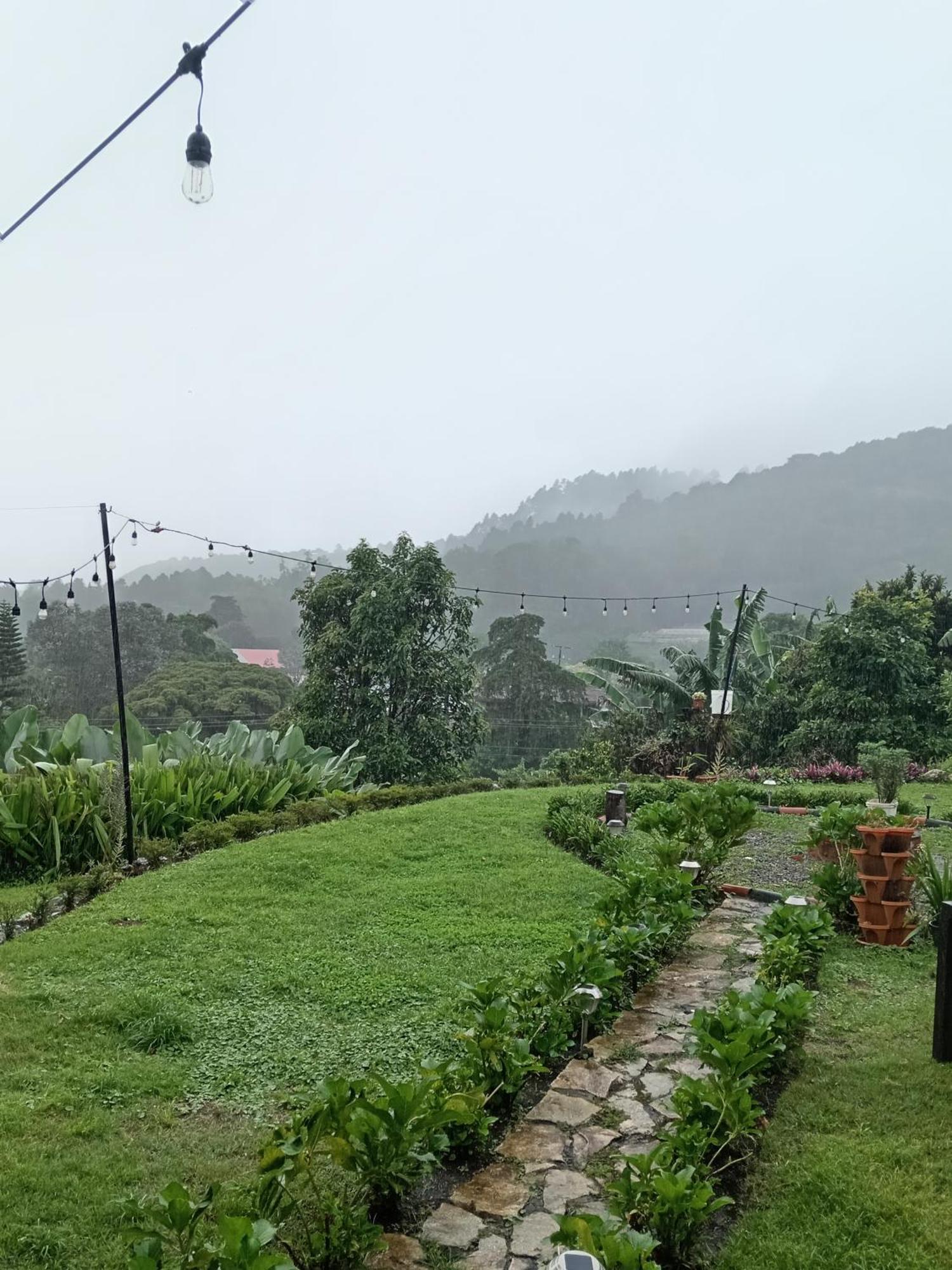 Hostal Vista Boquete Bajo Boquete Exteriér fotografie
