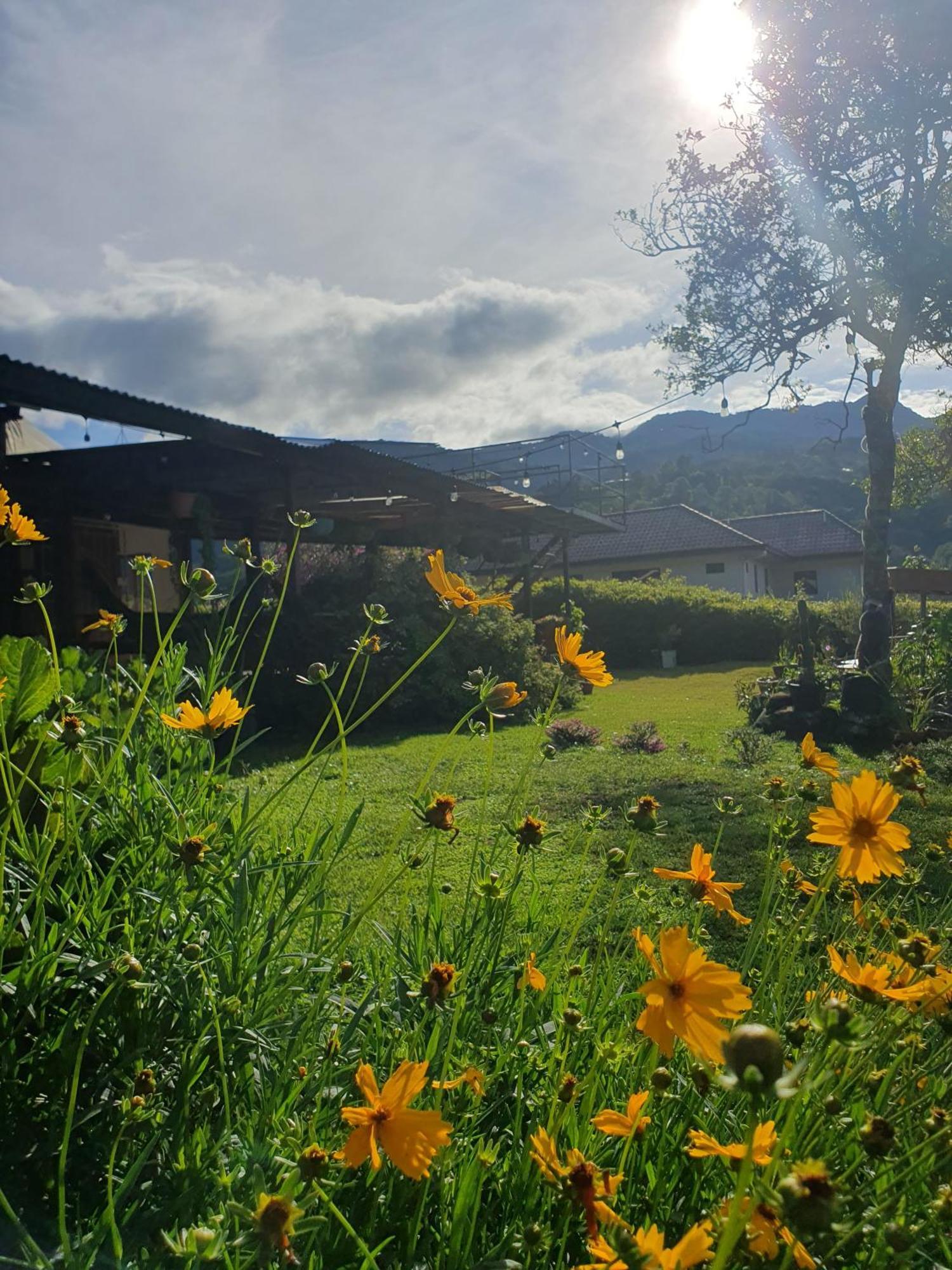 Hostal Vista Boquete Bajo Boquete Exteriér fotografie