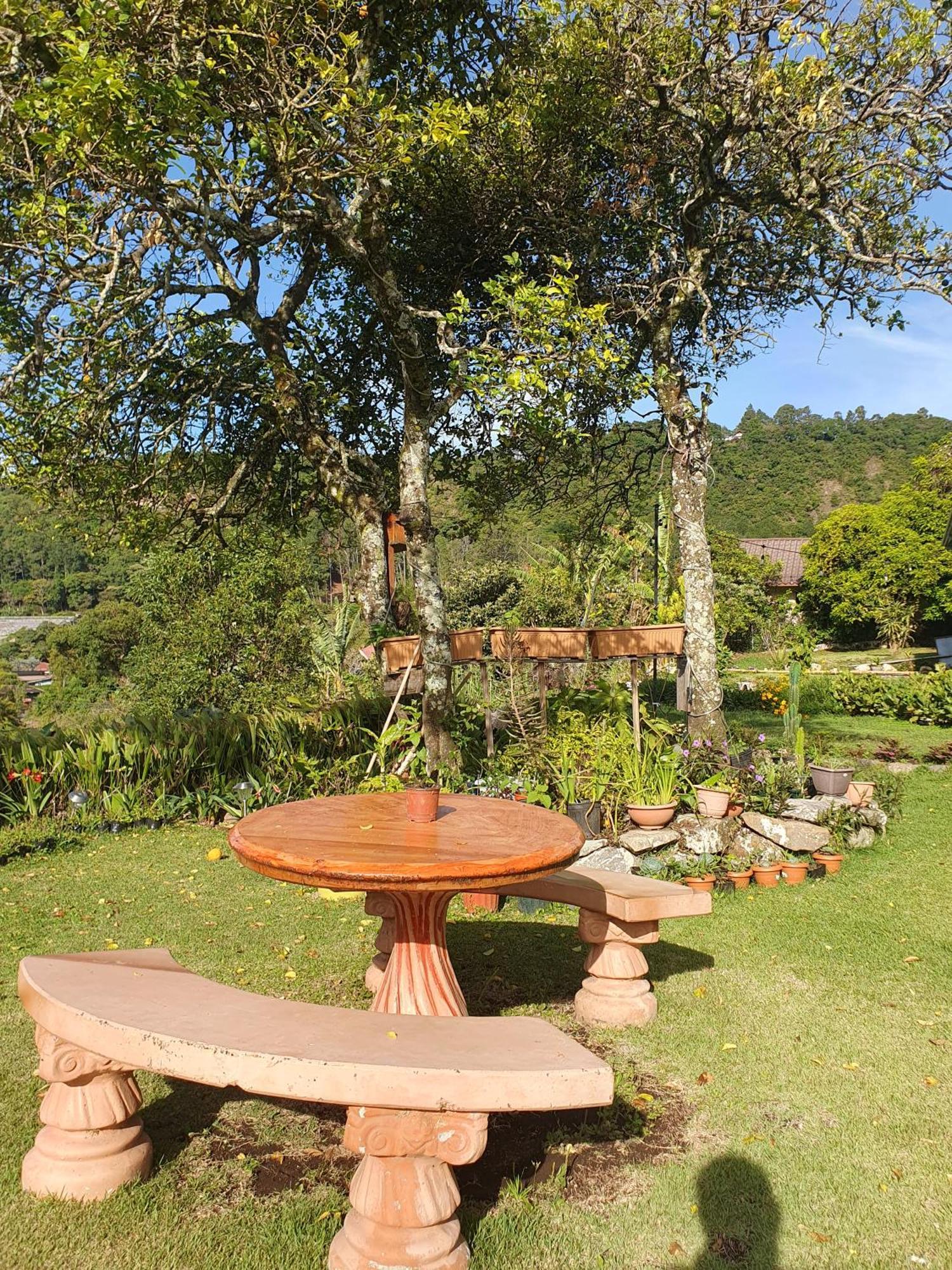 Hostal Vista Boquete Bajo Boquete Exteriér fotografie